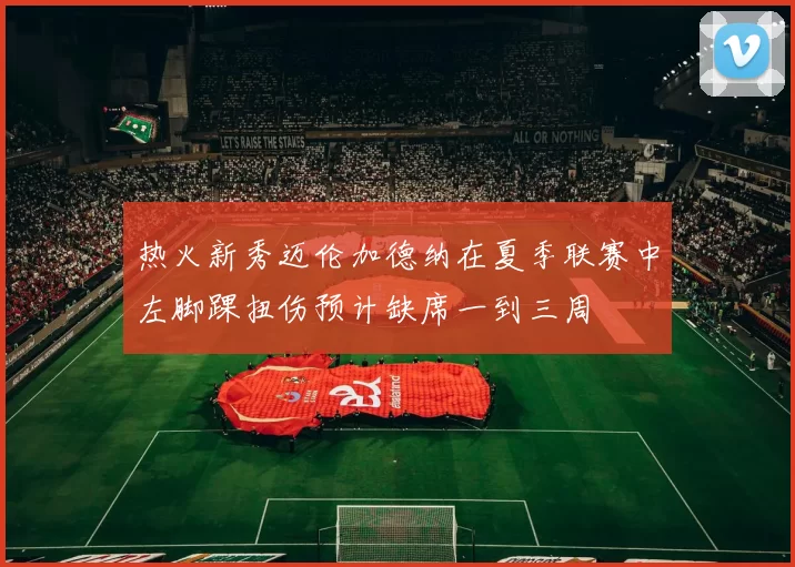 热火新秀迈伦加德纳在夏季联赛中左脚踝扭伤预计缺席一到三周