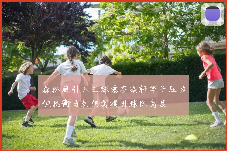 森林狼引入三球意在减轻华子压力但抗衡马刺仍需提升球队高度
