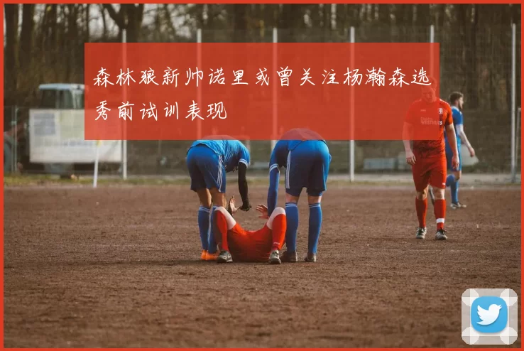 森林狼新帅诺里或曾关注杨瀚森选秀前试训表现